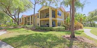 Venetian Palms 12640-1911 Gallery 1