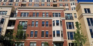 ICON Residences at the Rotunda Gallery 22