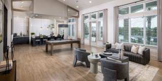 The Carmina Gallery 3