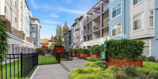 Chelsea at Juanita Village Gallery 4