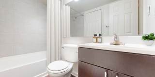 Legacy at Mayland Gallery 19