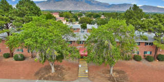 Executive East Apartments Gallery 1