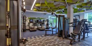 Terrain on the Parkway Gallery 16