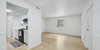 Marco Meadows Gallery 13