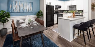 Cavalier @ 100 Gallery 2