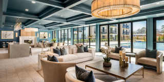 The Canopy Gallery 25