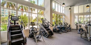 Alluvion Las Olas Alluvion Las Olas Gallery 36