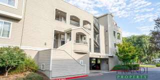 1579 South Novato Boulevard Gallery 1