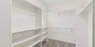 3107 Browntail Way Gallery 19