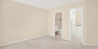 5715 CHAPMAN MILL Drive Gallery 12