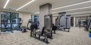 Vero McKinney Gallery 9