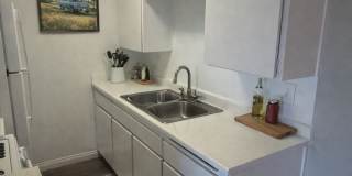 Garden View Gallery 18