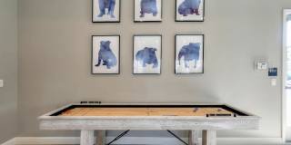 University Plaza Gallery 31