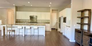 667 E Desert Willow Gallery 36
