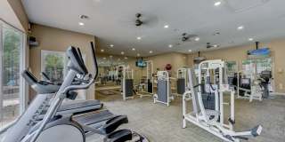 Stone Oak @ Parmer Gallery 47