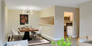 Laguna Reserve Gallery 25