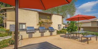 Raintree Apartment Homes Gallery 15