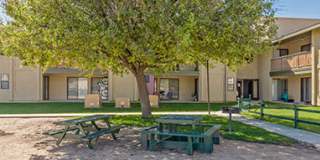 Willow Ridge Gallery 6
