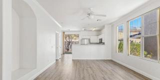 2520 Bottle Palm Court Gallery 8