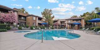 Silverbell Springs Gallery 14