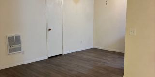 Sea Chase (Acacia Avenue) Gallery 6