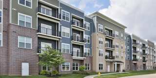 Element Oakwood Gallery 25