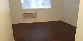 Forest Ridge Gallery 51