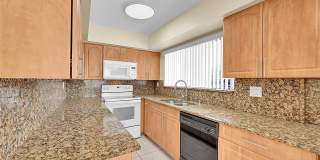 2532 Coral Springs Dr Gallery 9