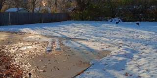 Charming 3 bedroom near Washburn University. Gallery 7