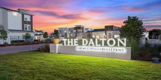 The Dalton The Dalton Gallery 15