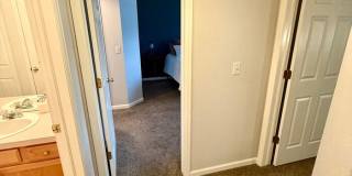 5225 White Willow Drive Gallery 10