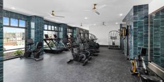 The Premier Gallery 12