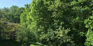 11659 STONEVIEW Square Gallery 31