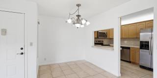 518 Shady Pine Way Gallery 8