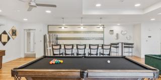 The Revival Gallery 33