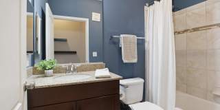 24636 WOOLLY MAMMOTH Terrace Gallery 35