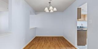 1518 DEEP GORGE CT Gallery 9