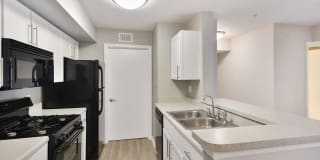 Grove at SouthShore Gallery 50