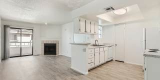 Rise on Cactus Gallery 83