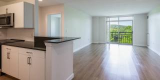 Cronin's Landing Gallery 5