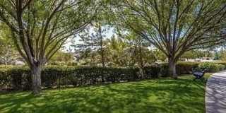1237 Crown Ridge Drive Gallery 4