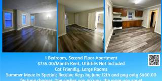Cat Friendly 1 Bedroom Apartment with Move In Special! Gallery 1