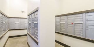 Anatole on Briarwood Gallery 15