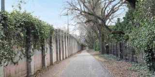 1310 Creekside Drive Gallery 35
