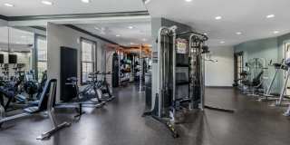 Bell Lake Forest Gallery 11