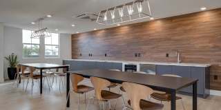 Vineyards Gallery 90