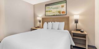 Charleston - Mt. Pleasant Gallery 6