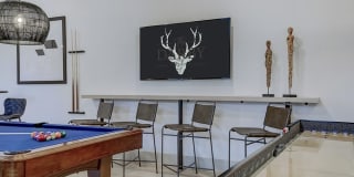 The Darby Apartments Gallery 9