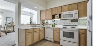 Las Palmas Gallery 46