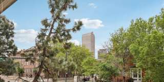 1376 North Pearl Street #109 - 1 Gallery 16